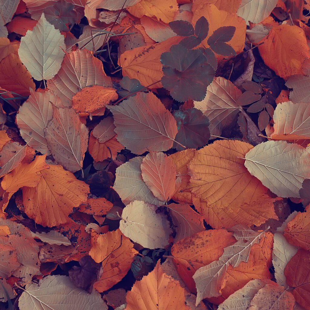 AdobeStock 260512299